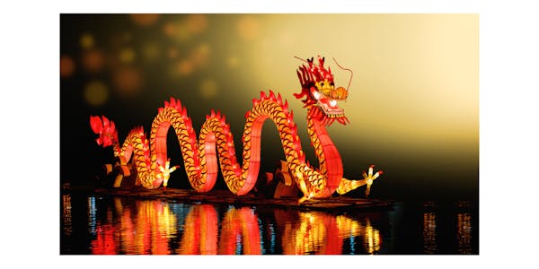 65e00f2b9c42d04f7d969b24 dragonyearboomtherushtohiredomestichelpersinhongkong 1